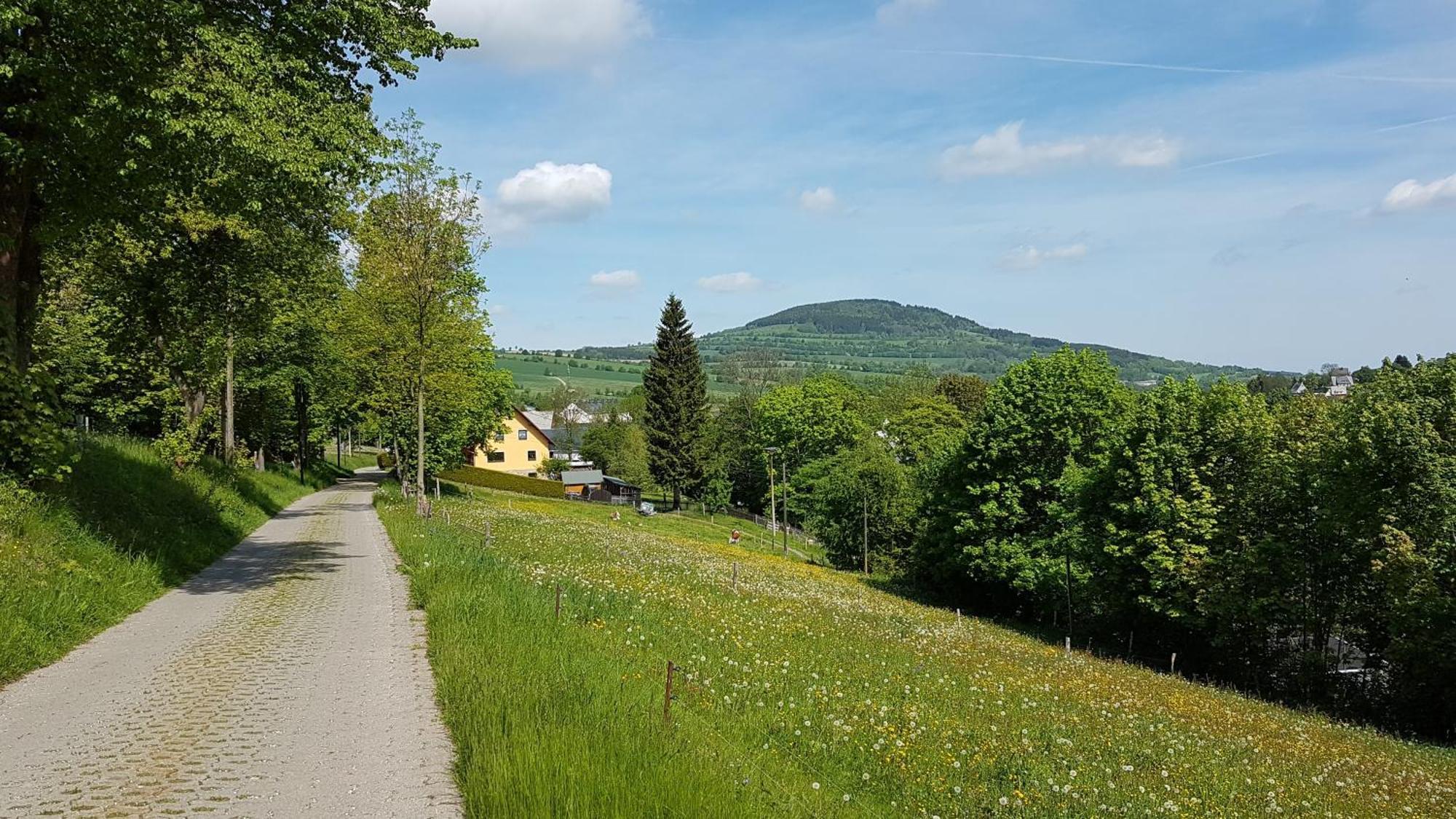 Waldhufenidyll Koenigswalde Im Erzgebirge Apartman Konigswalde Kültér fotó